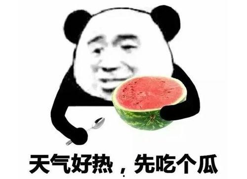 吃瓜表情包可爱,吃瓜表情包的可爱魅力
